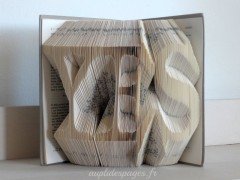 Yes (folded book)