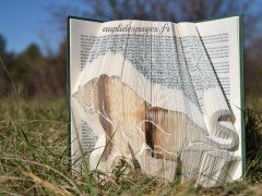 lioness, folded book