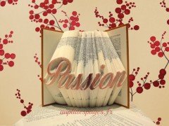 passion, folded book