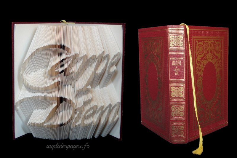 Carpe Diem, folded book