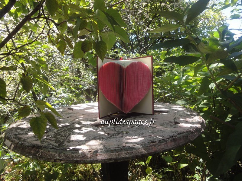 folded book heart