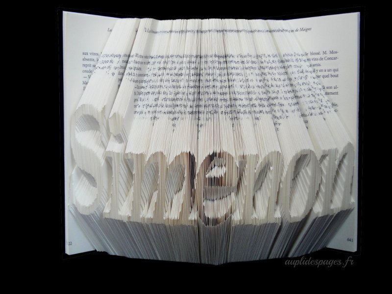 livre plié en hommage à Georges Simenon