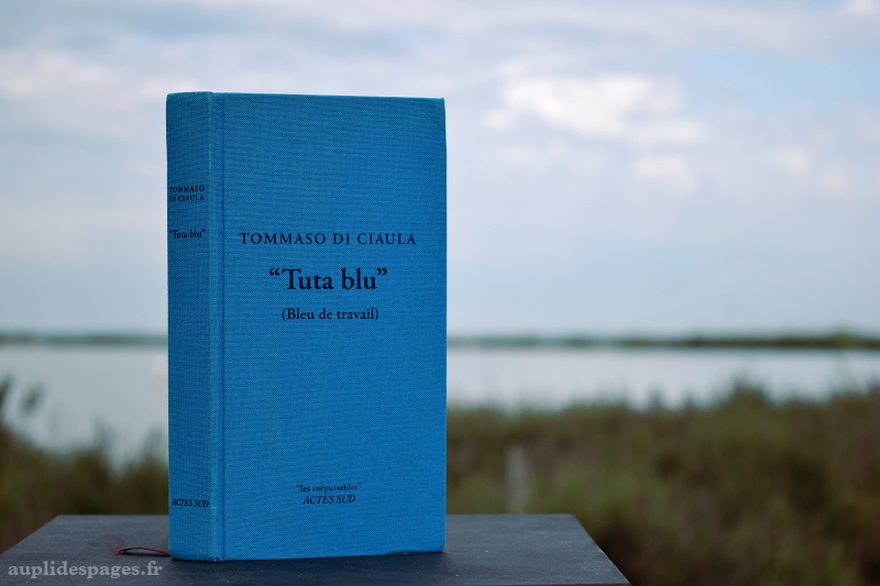 Tutta Blu de Tommaso di Ciaula aux éditions Actes Sud
