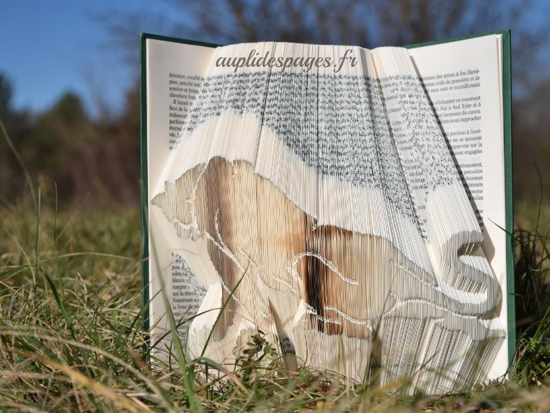 lioness, folded book