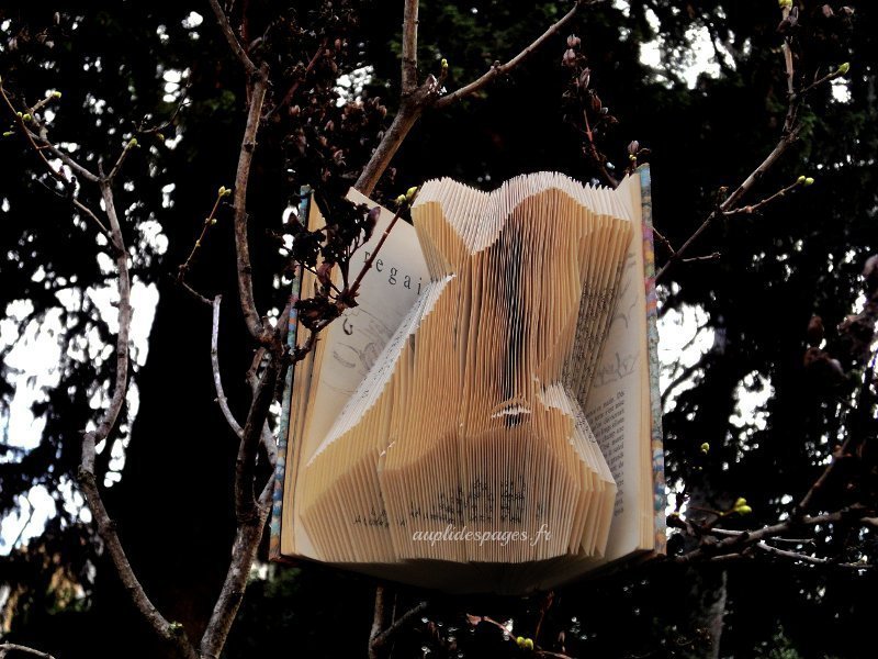 Oiseau, livre plié